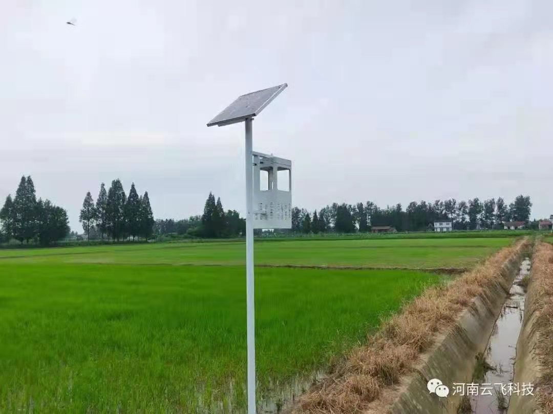 太陽能殺蟲燈都有哪些樣式？方形落地燈好用嗎？