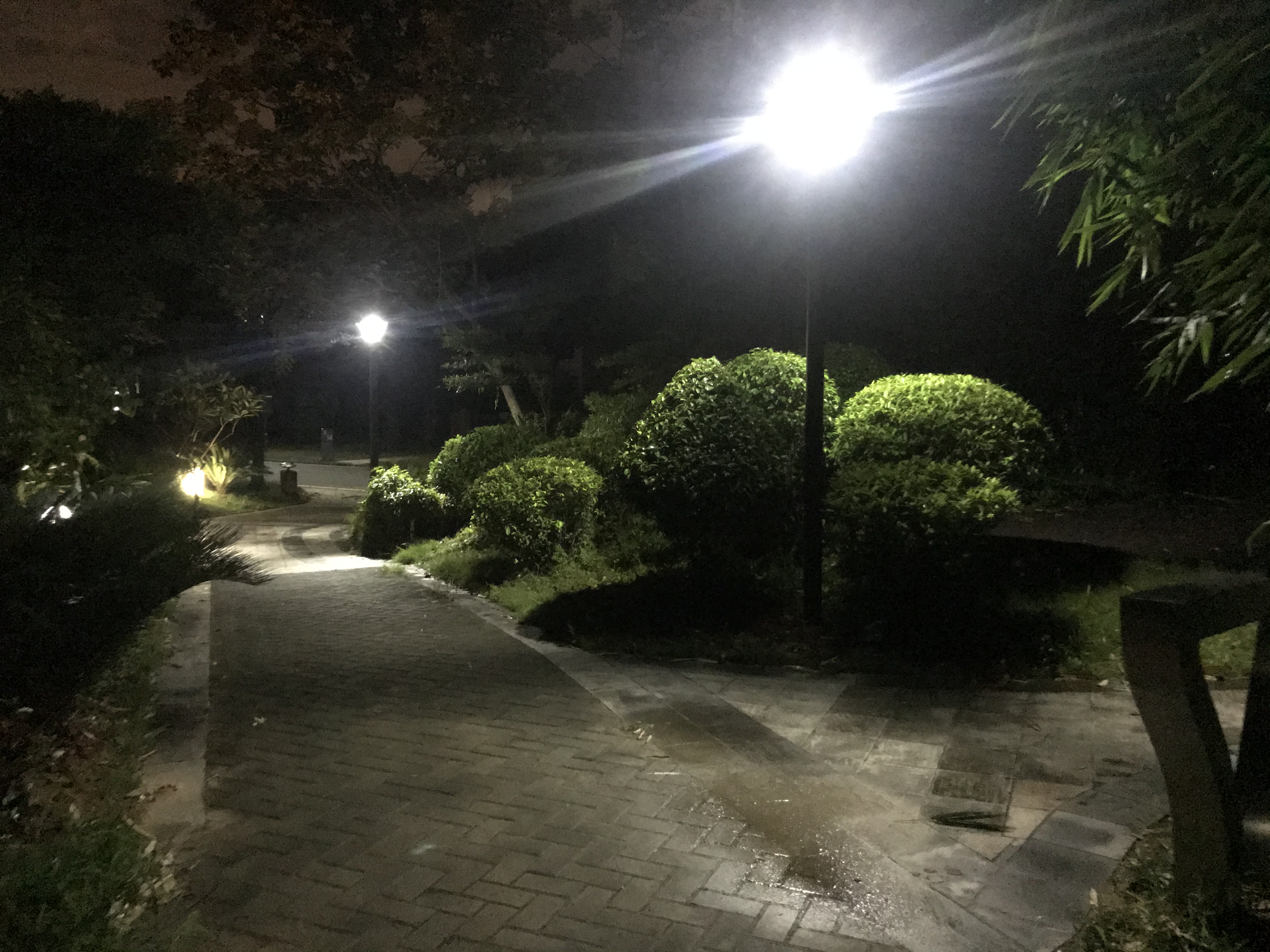 想要院子夜間照明既美觀又省電，怎能少了太陽能庭院燈？