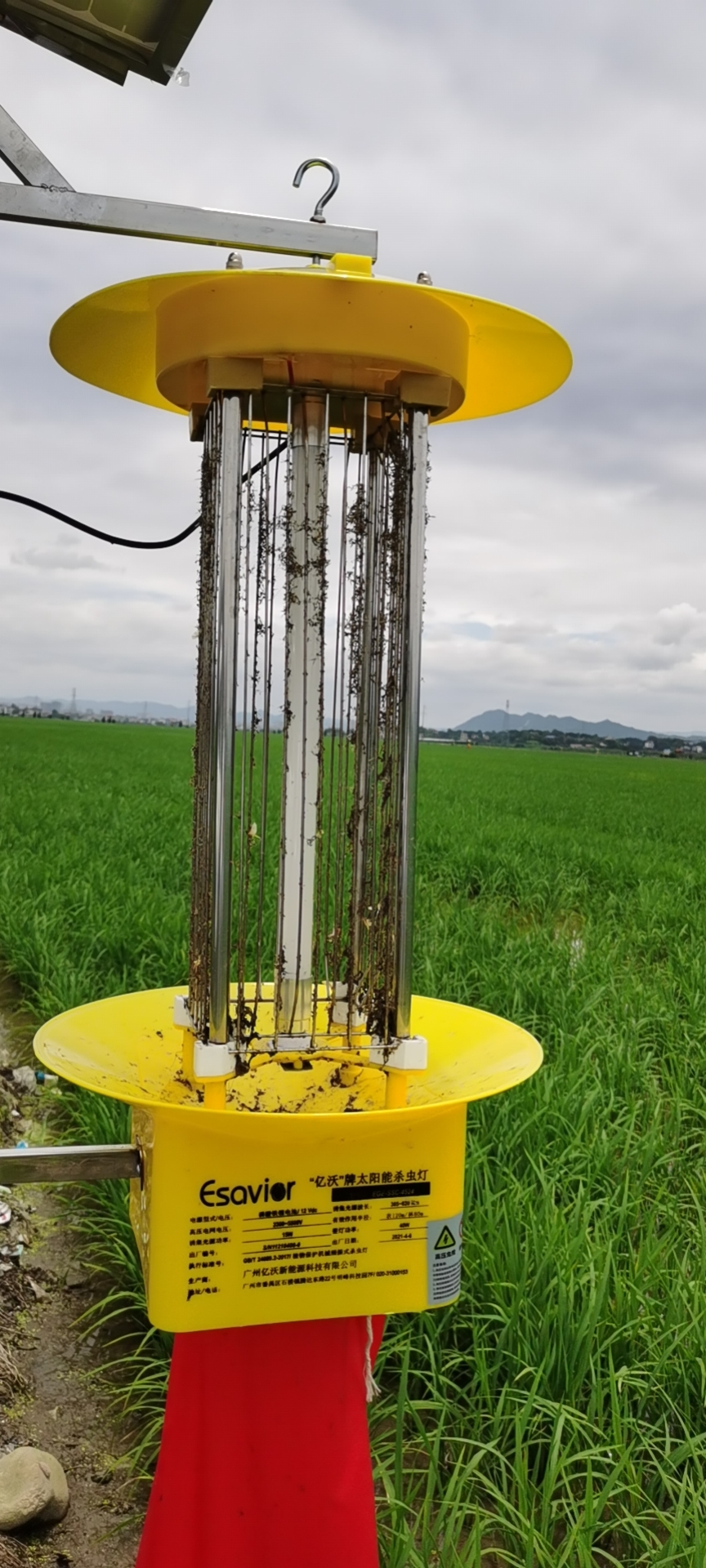 果園里害蟲太多怎么辦？太陽能殺蟲燈既省錢又有效