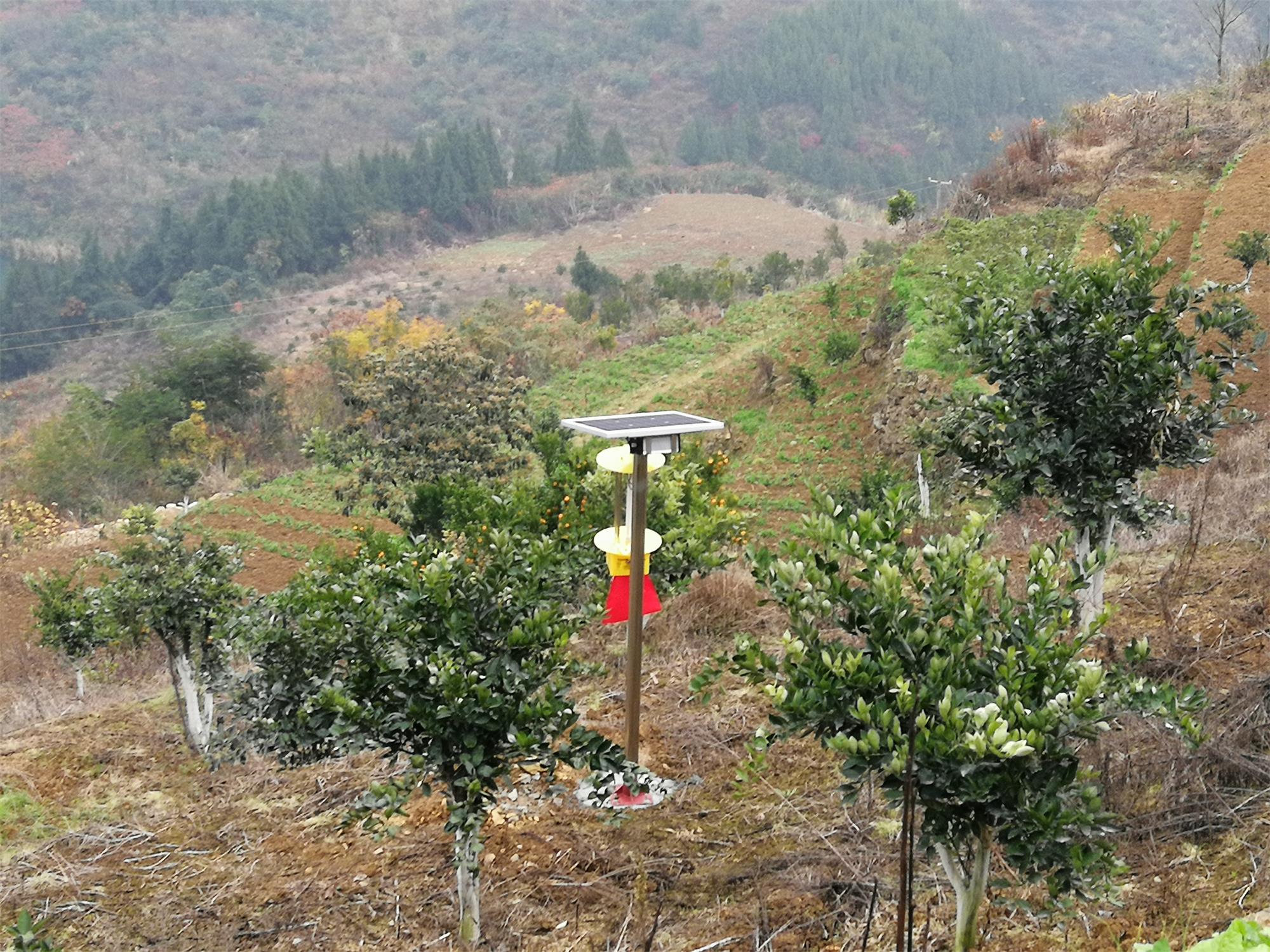 太陽能殺蟲燈控制器怎么調？購買時你心儀的價格是多少？