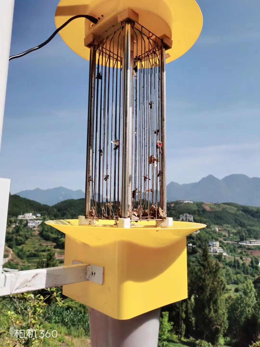 公園里隨處可見的太陽能殺蟲燈真的有效果嗎？