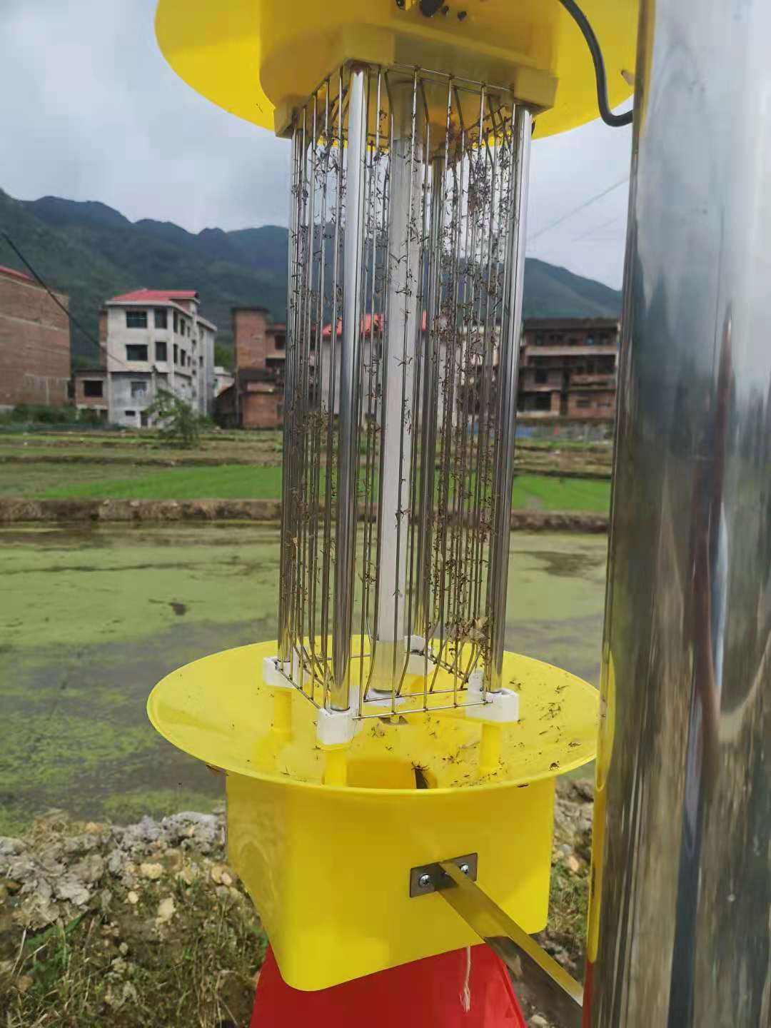 太陽能殺蟲燈都對哪些蟲子有效果？